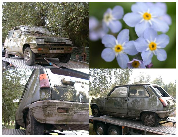 old silver Renault 5 with blue forgetmenot