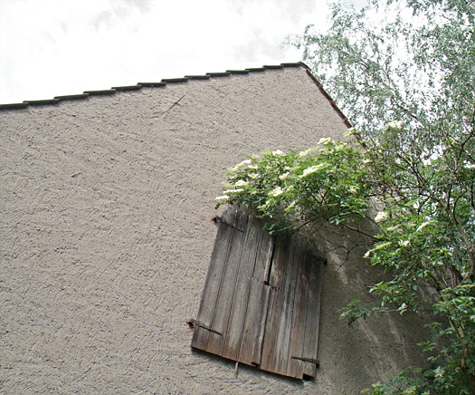 Holunder-Scheune . Elder-Barn